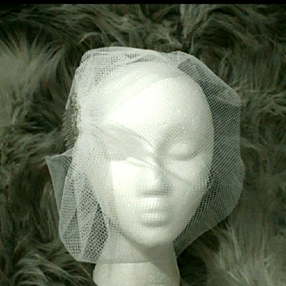 Birdcage Veil